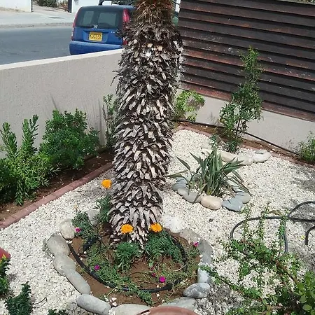 Tatiana's House Tatil Evi