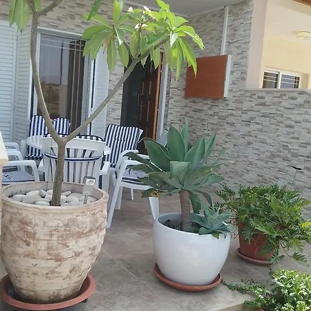 Tatiana's House